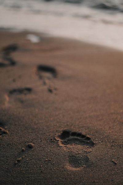 How can using plastic products actually lessen my plastic waste?