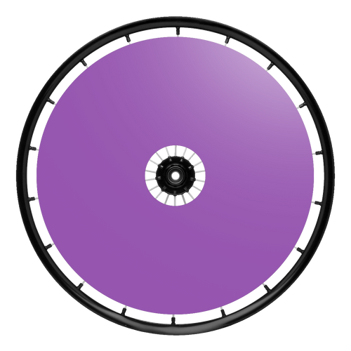 Spoke Guard Purple.png__PID:ce4fb03a-9d03-4a4c-8c9c-05781cffab98